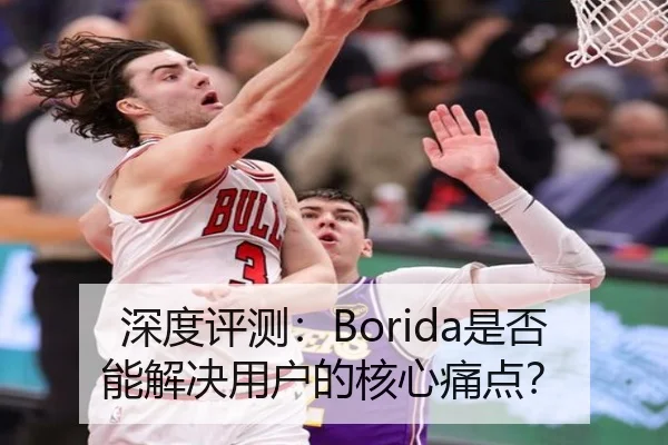 深度评测：Borida是否能解决用户的核心痛点？