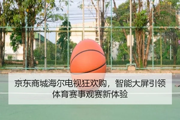 京东商城海尔电视狂欢购，智能大屏引领体育赛事观赛新体验